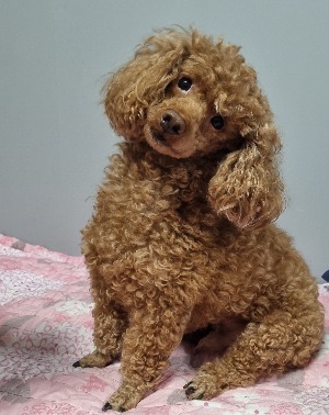 블로그 이미지