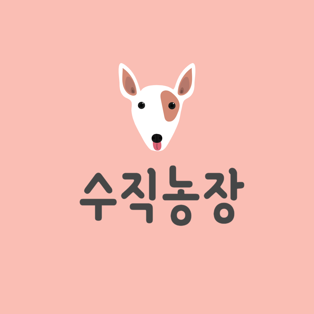 블로그 이미지