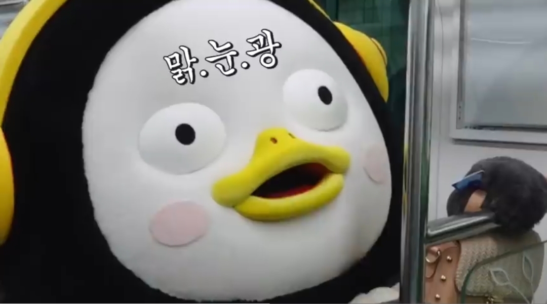 프로필사진