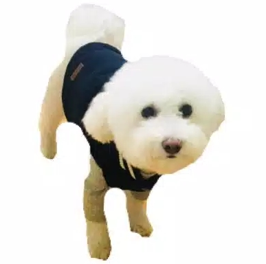 프로필사진