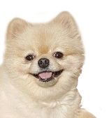 프로필사진