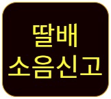 프로필사진