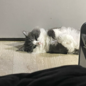 프로필사진