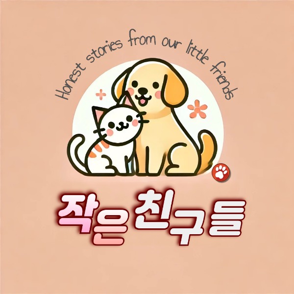 블로그 이미지