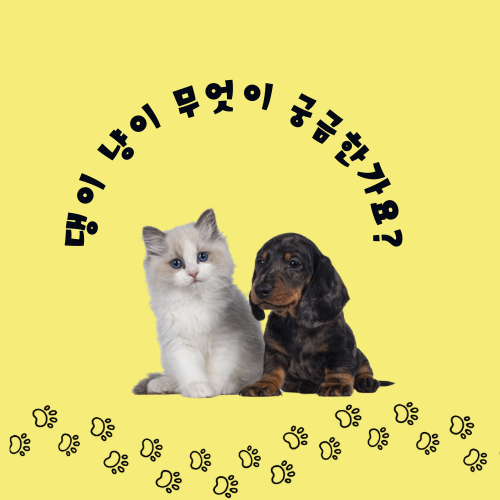 프로필사진