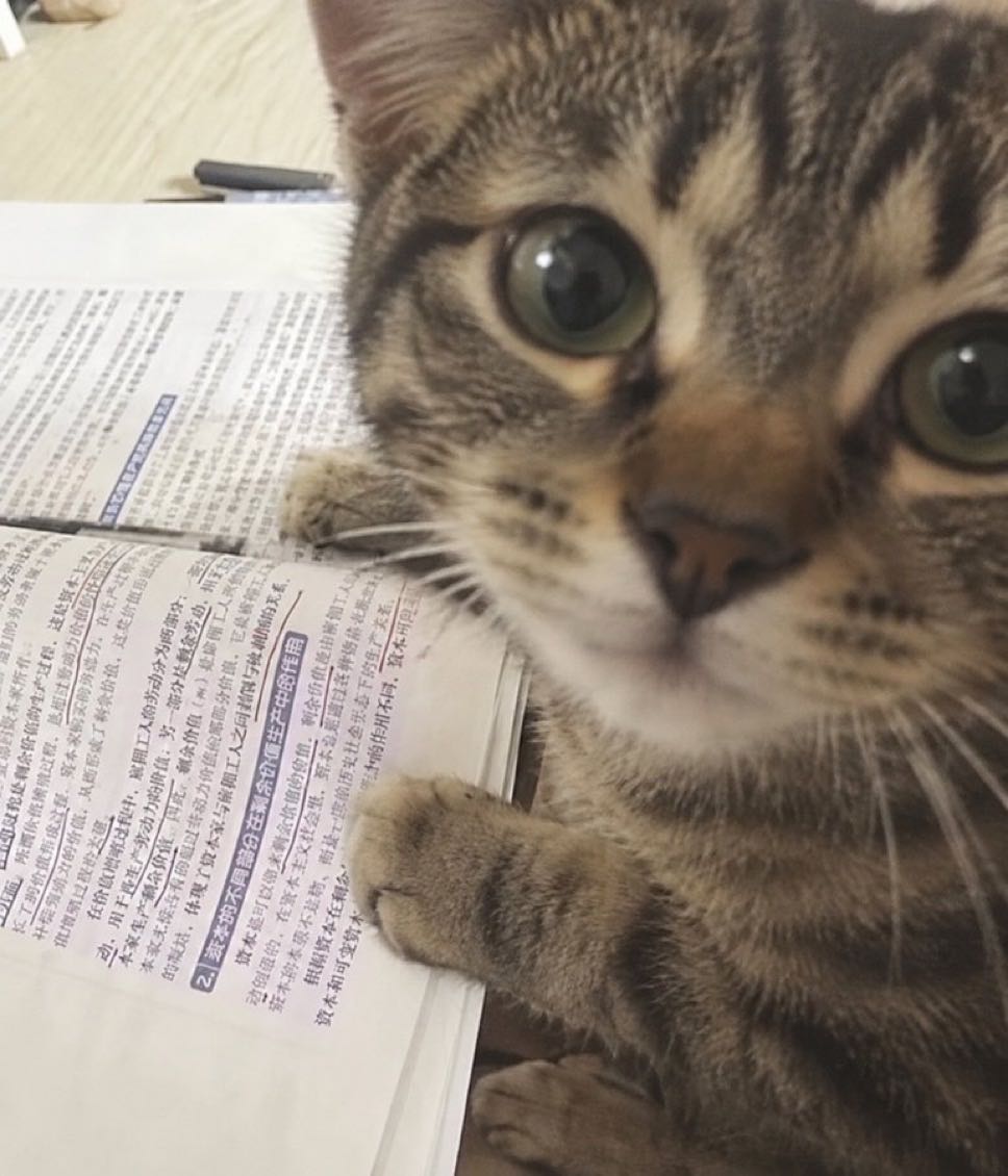 프로필사진