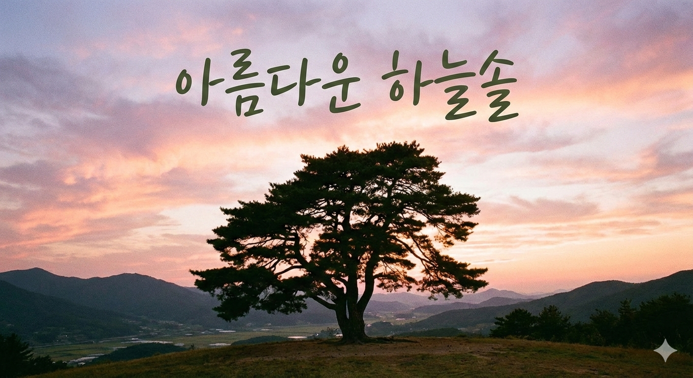 프로필사진