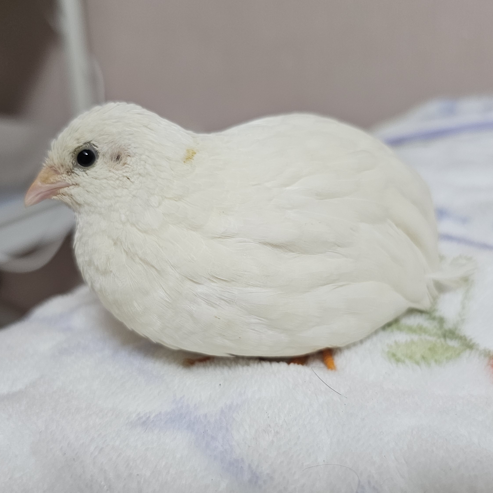 프로필사진
