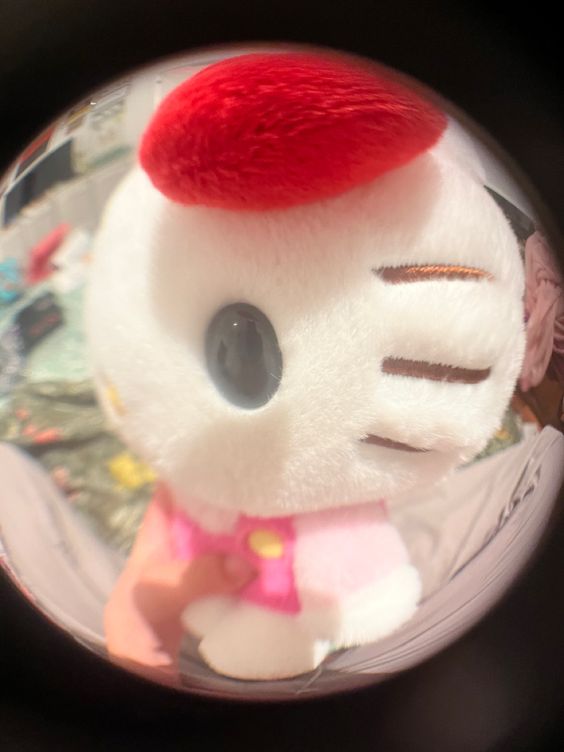 블로그 이미지