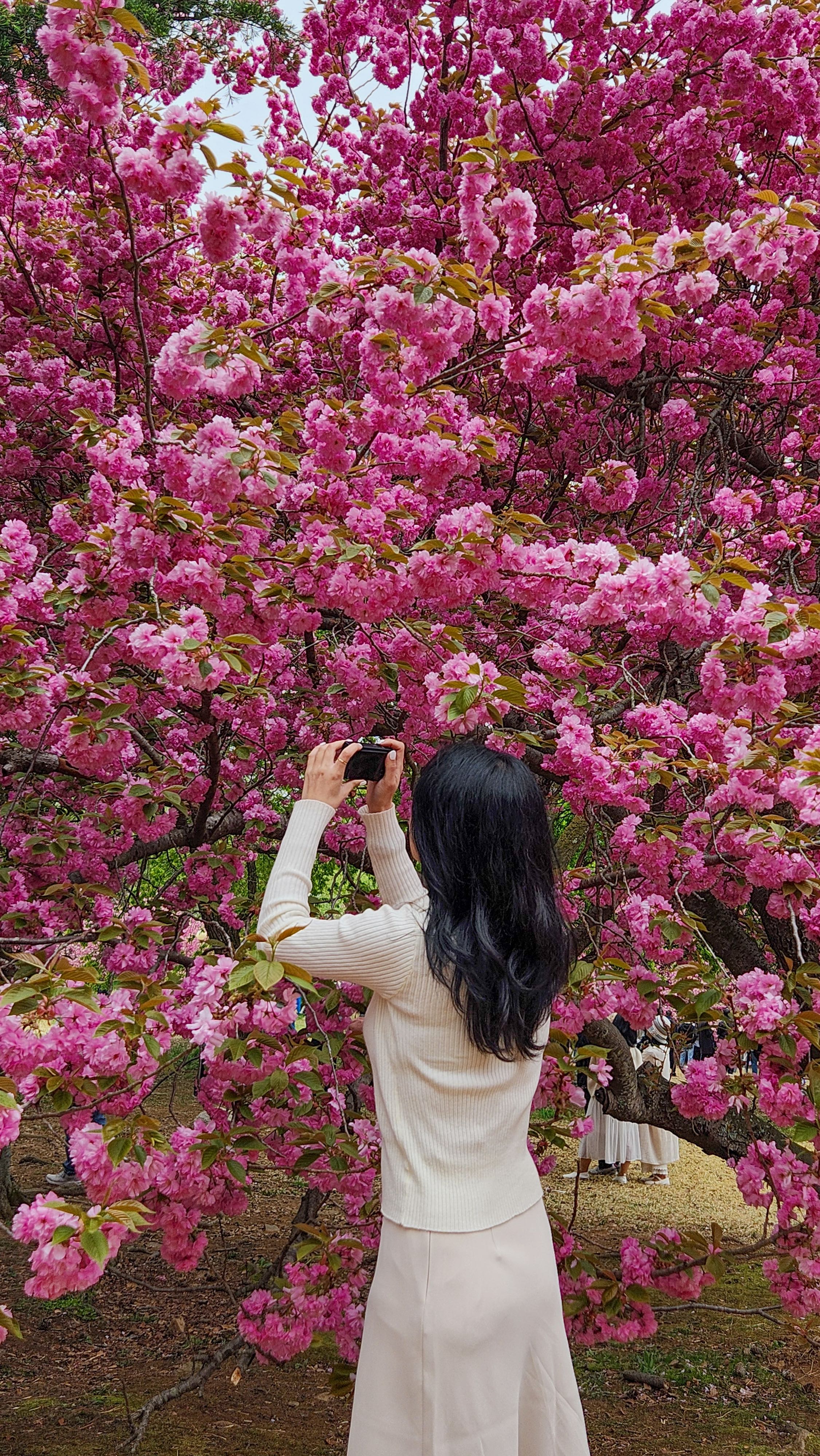 프로필사진