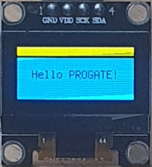 프로필사진
