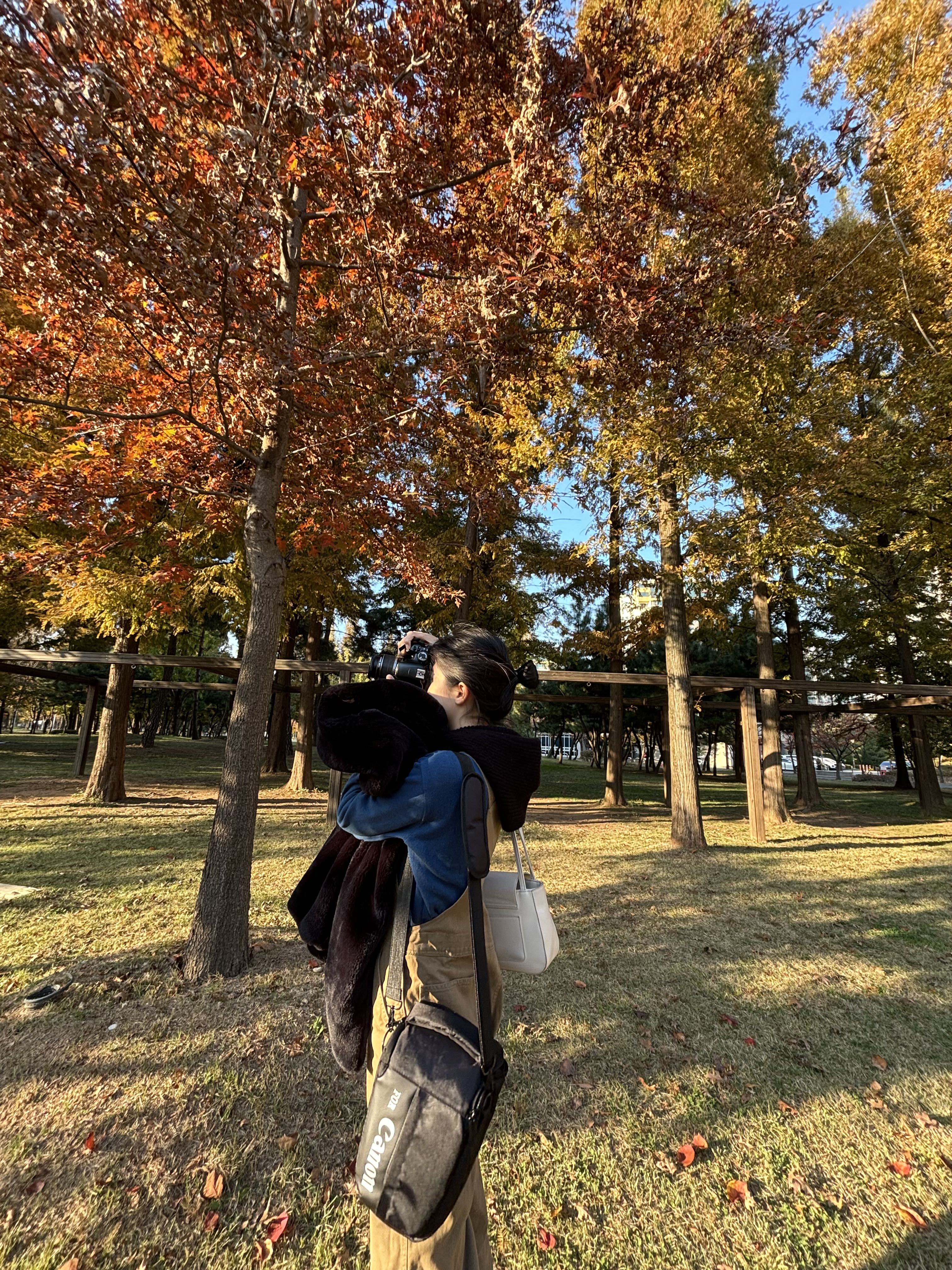 프로필사진