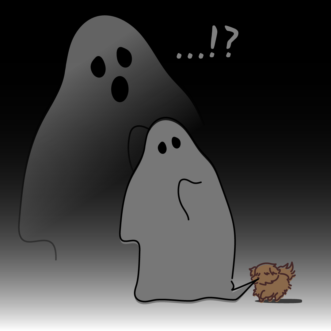 프로필사진
