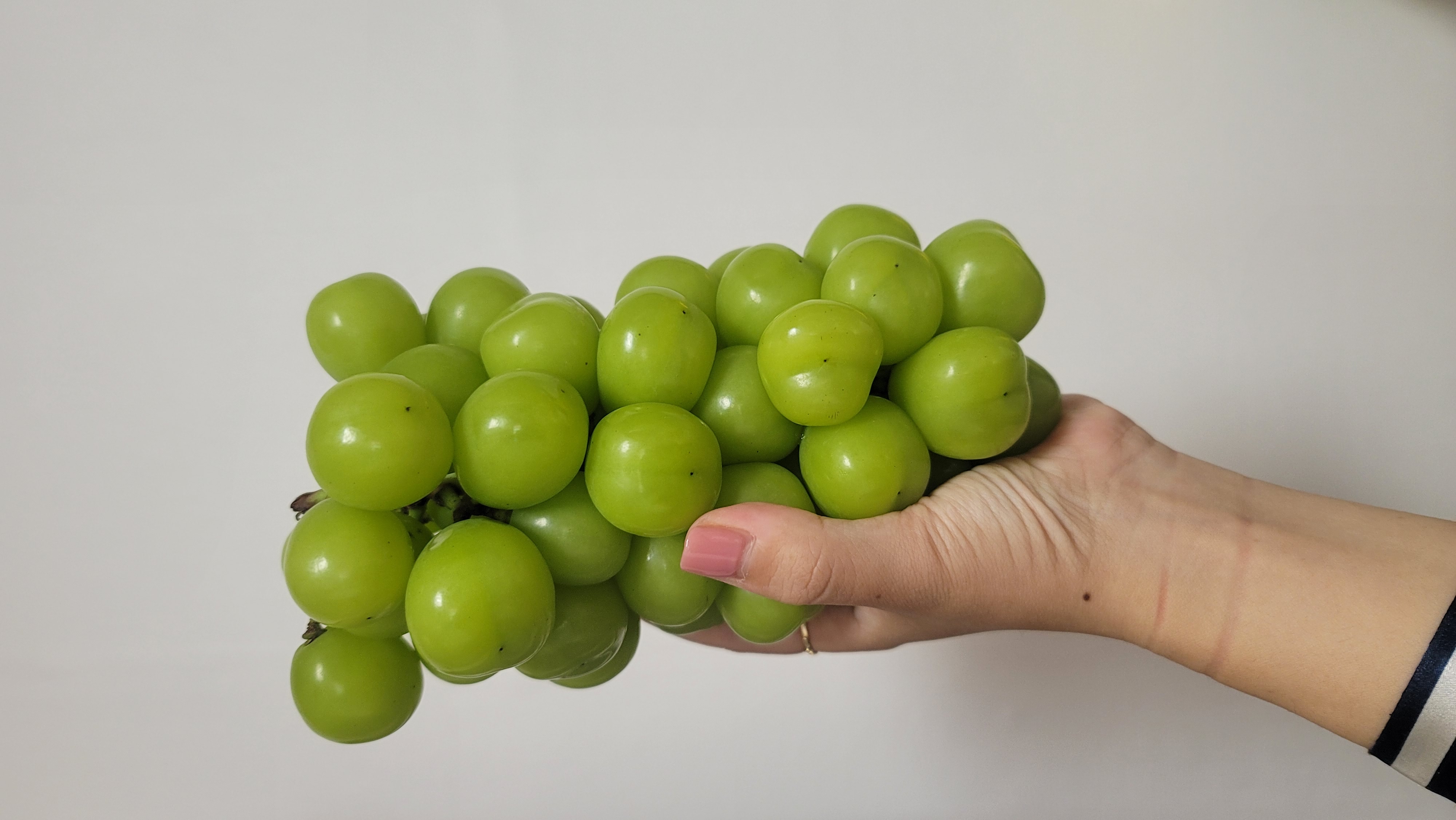 프로필사진