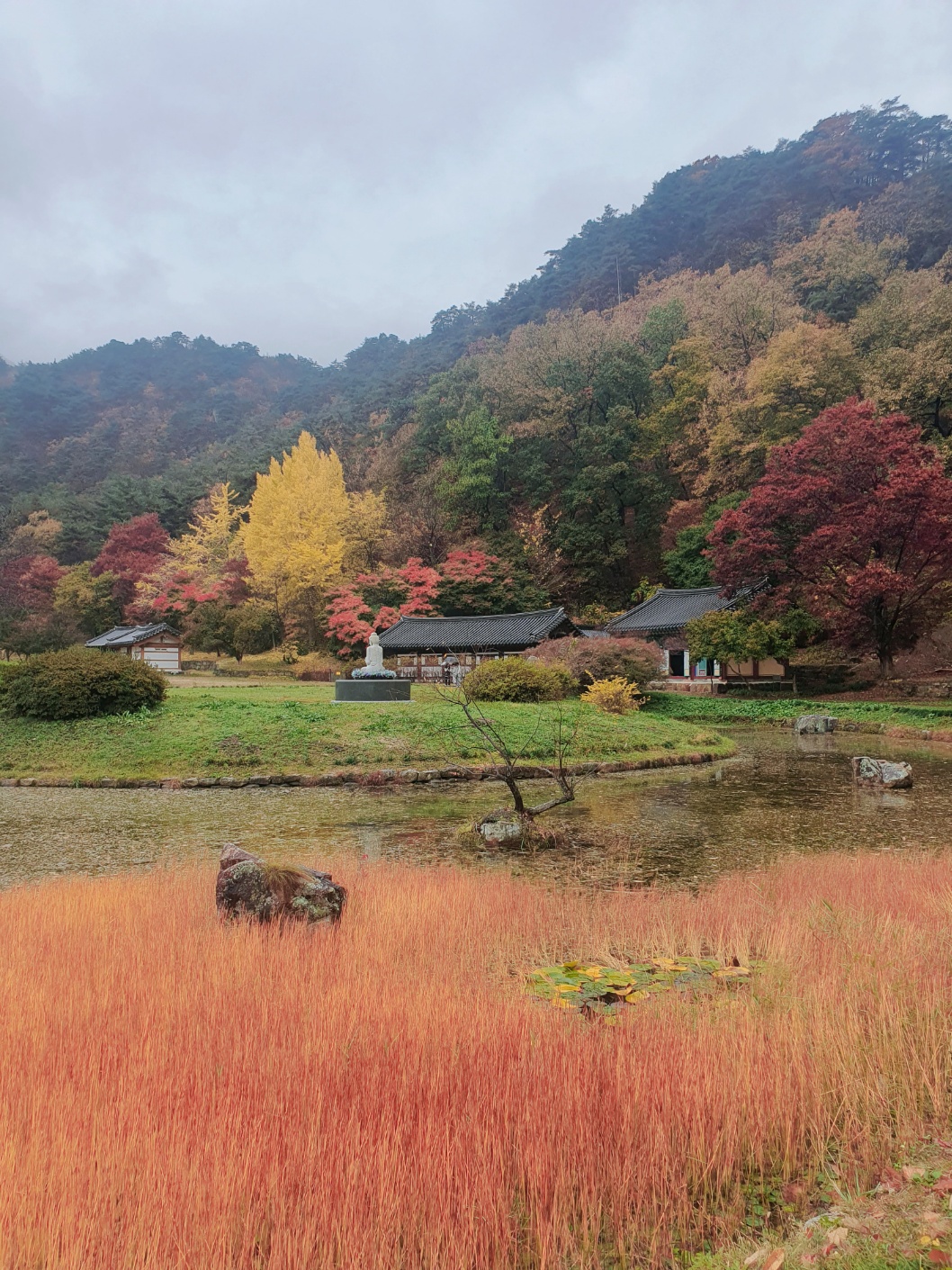 핏조이 블로그