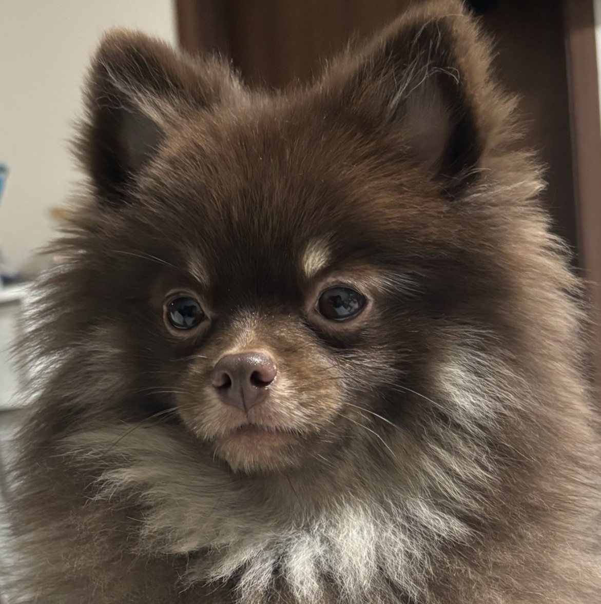 프로필사진