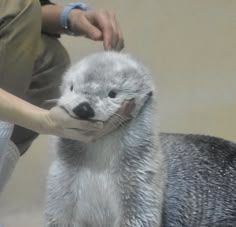프로필사진