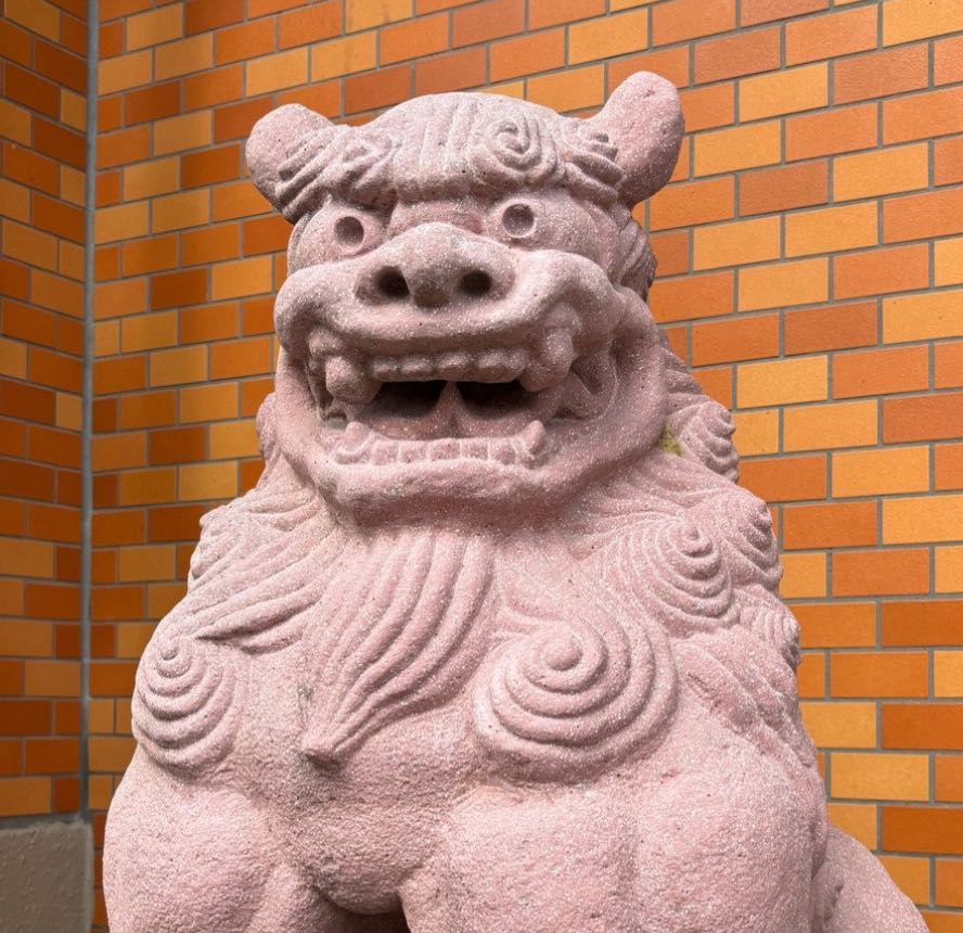 프로필사진