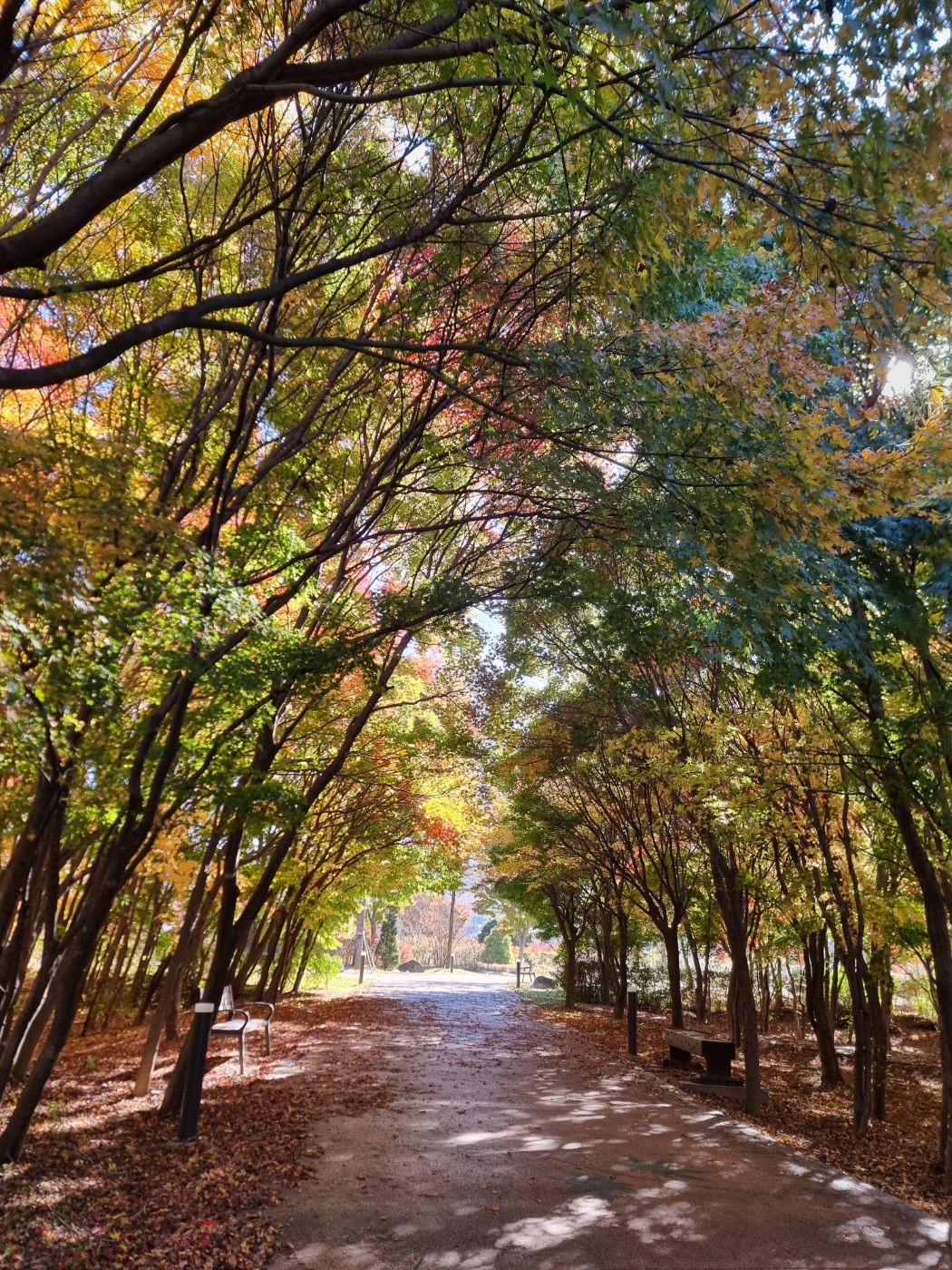 프로필사진