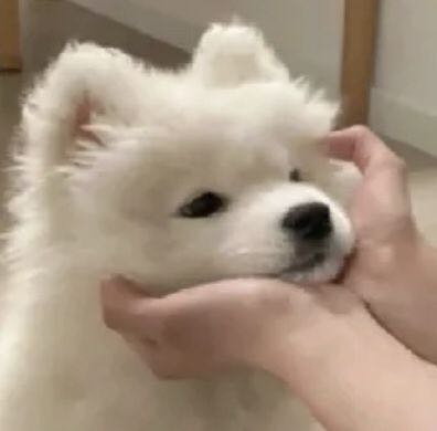 프로필사진