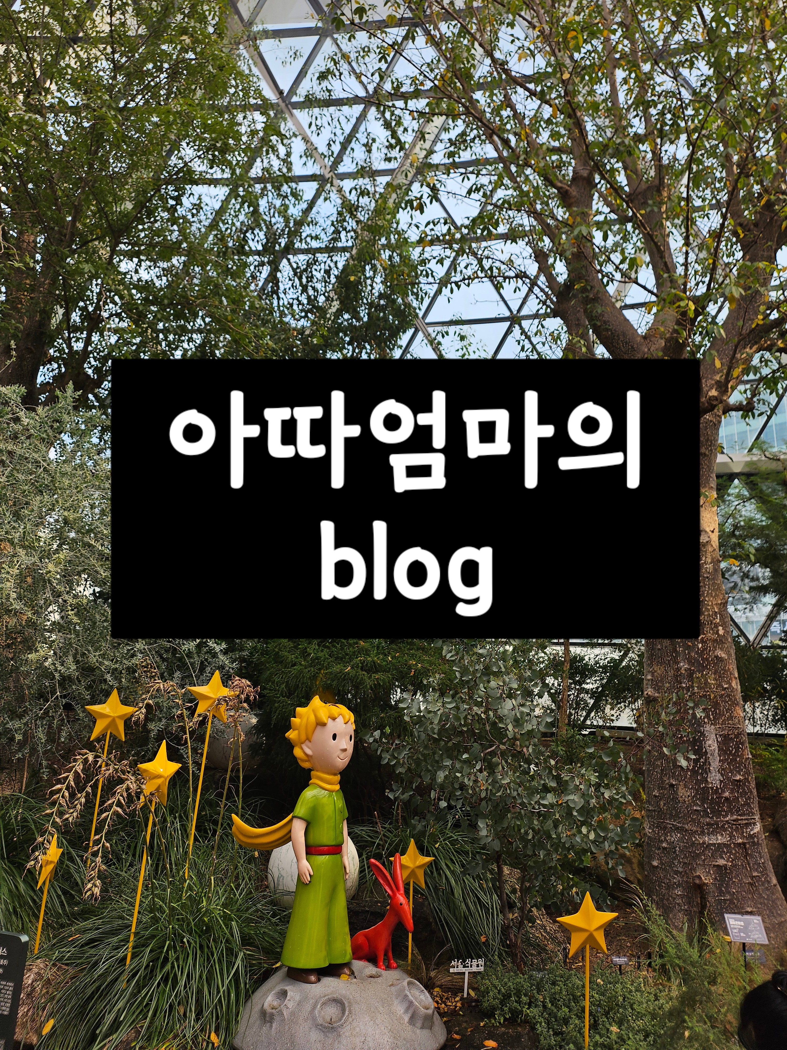 블로그 이미지