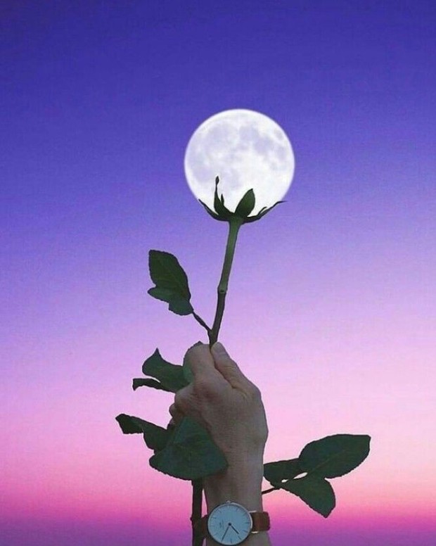 프로필사진