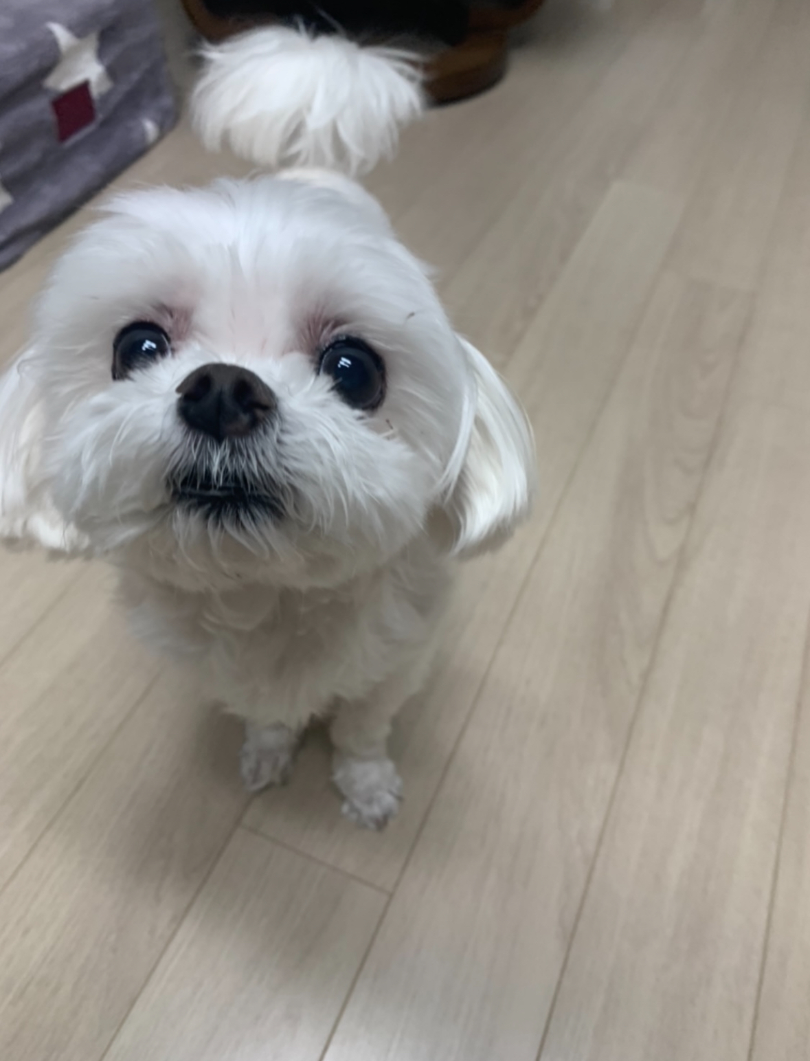 블로그 이미지