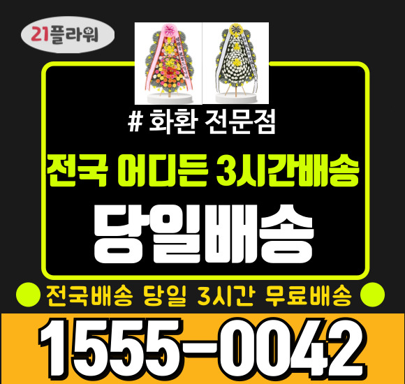 프로필사진