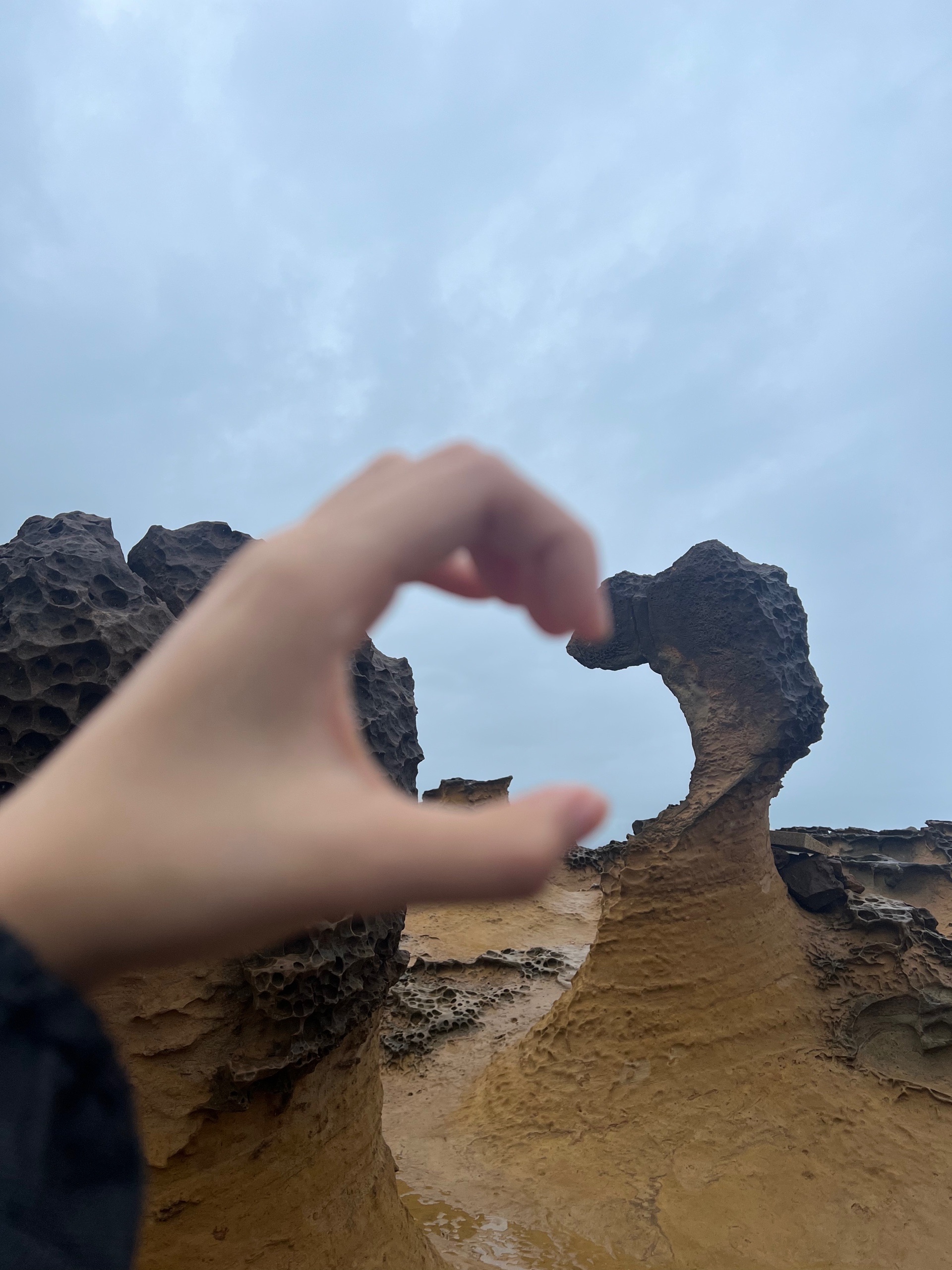 프로필 로고