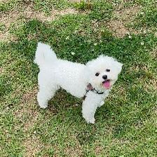 블로그 이미지