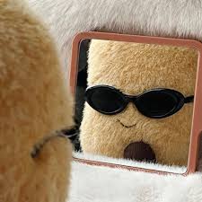 나는 정말 개발이 하고 싶었다