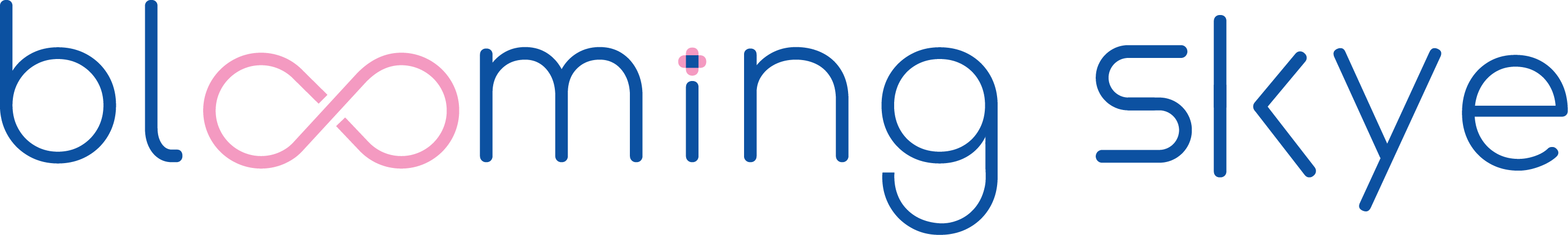 블루밍스카이 | Strategic Business Lab