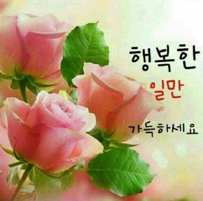 블로그 이미지