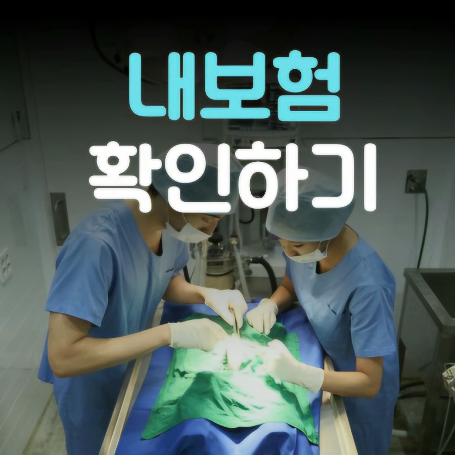 프로필사진