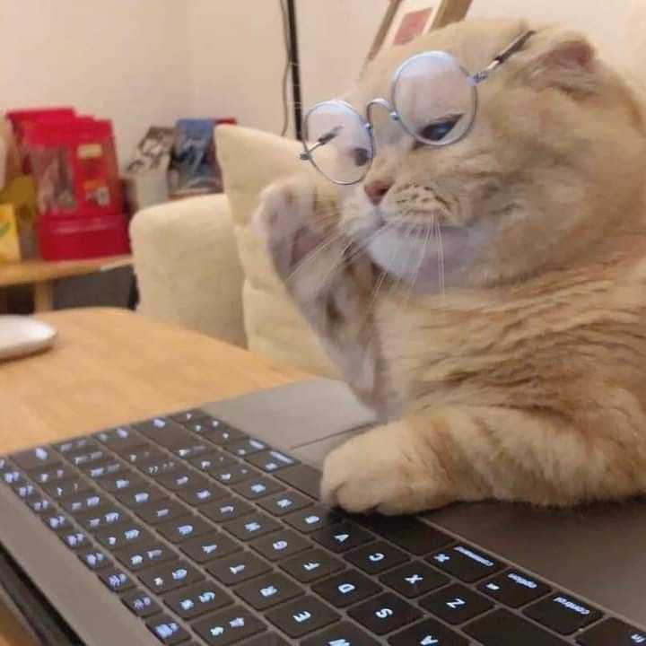 프로필사진