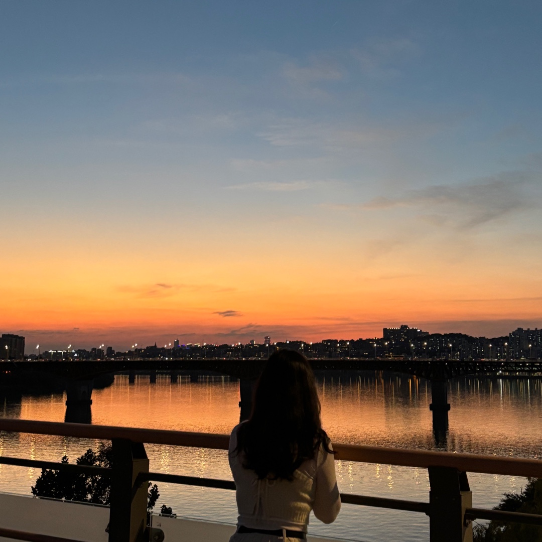프로필 배경