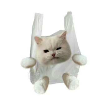 프로필사진