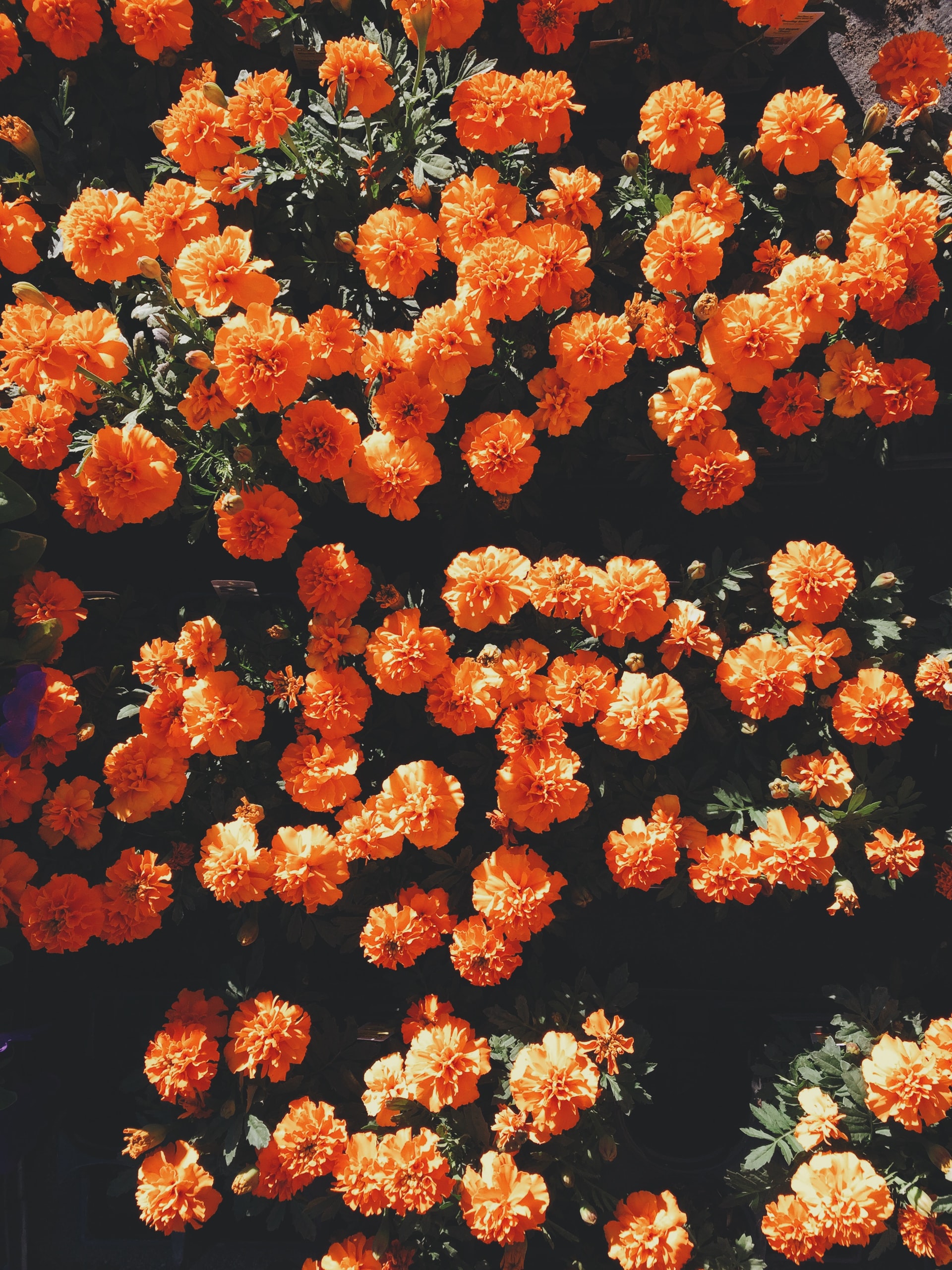 user-img