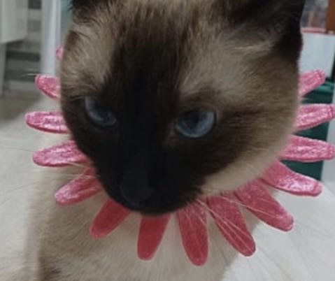 프로필사진