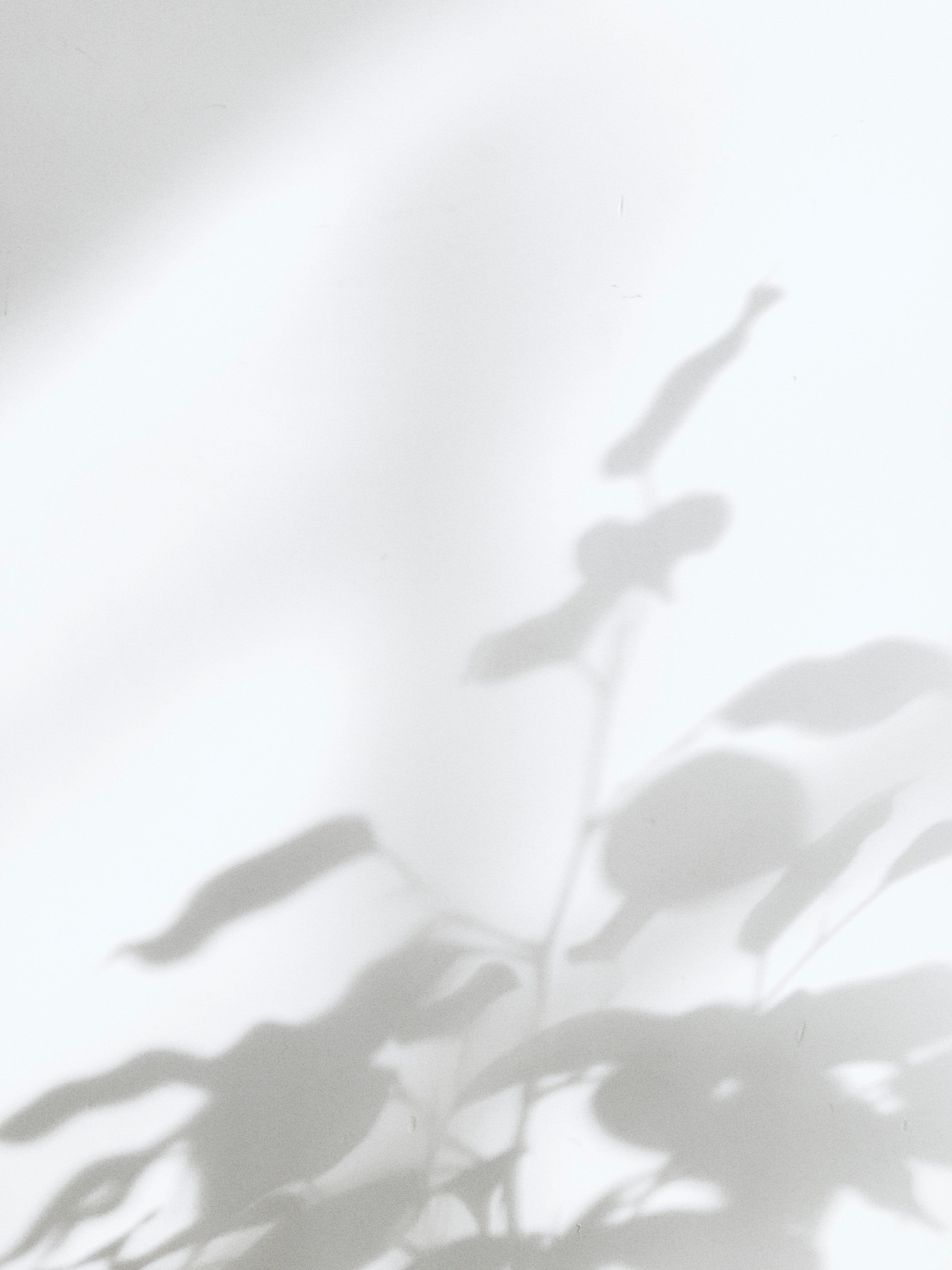 sidebar-img
