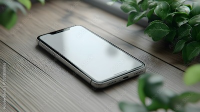 프로필사진
