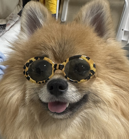 프로필사진