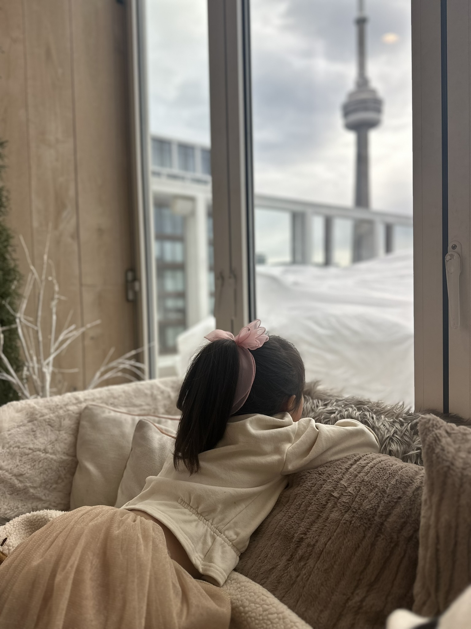 Tistory profile picture for @toronto
