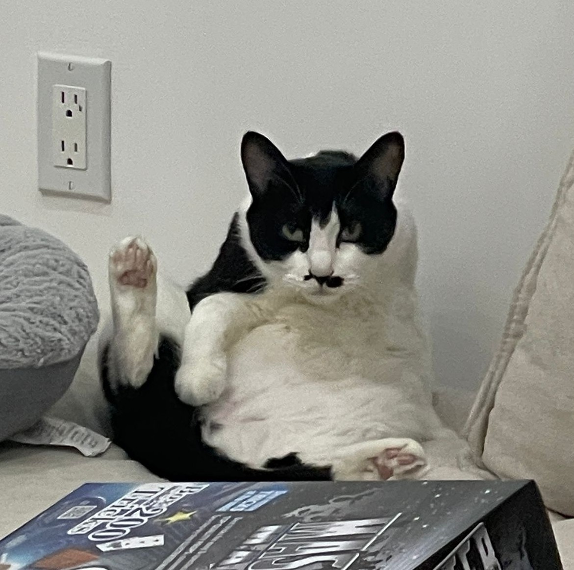 블로그 이미지