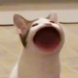 프로필사진