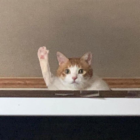 프로필사진
