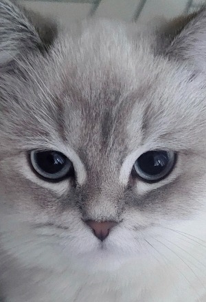 프로필사진