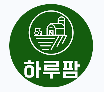 프로필사진
