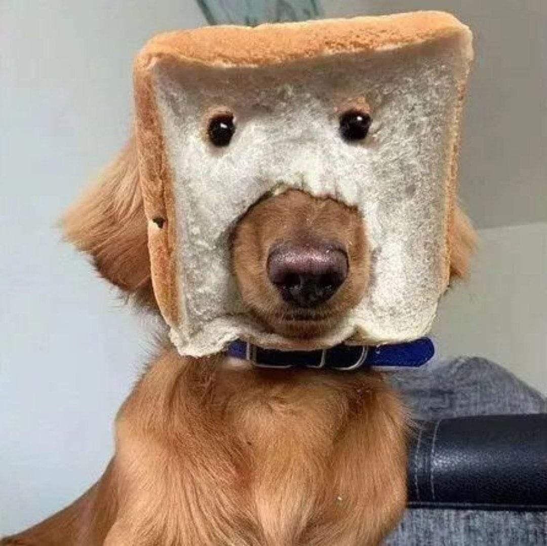 프로필사진