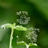 프로필사진